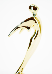 Image of a Telly Award